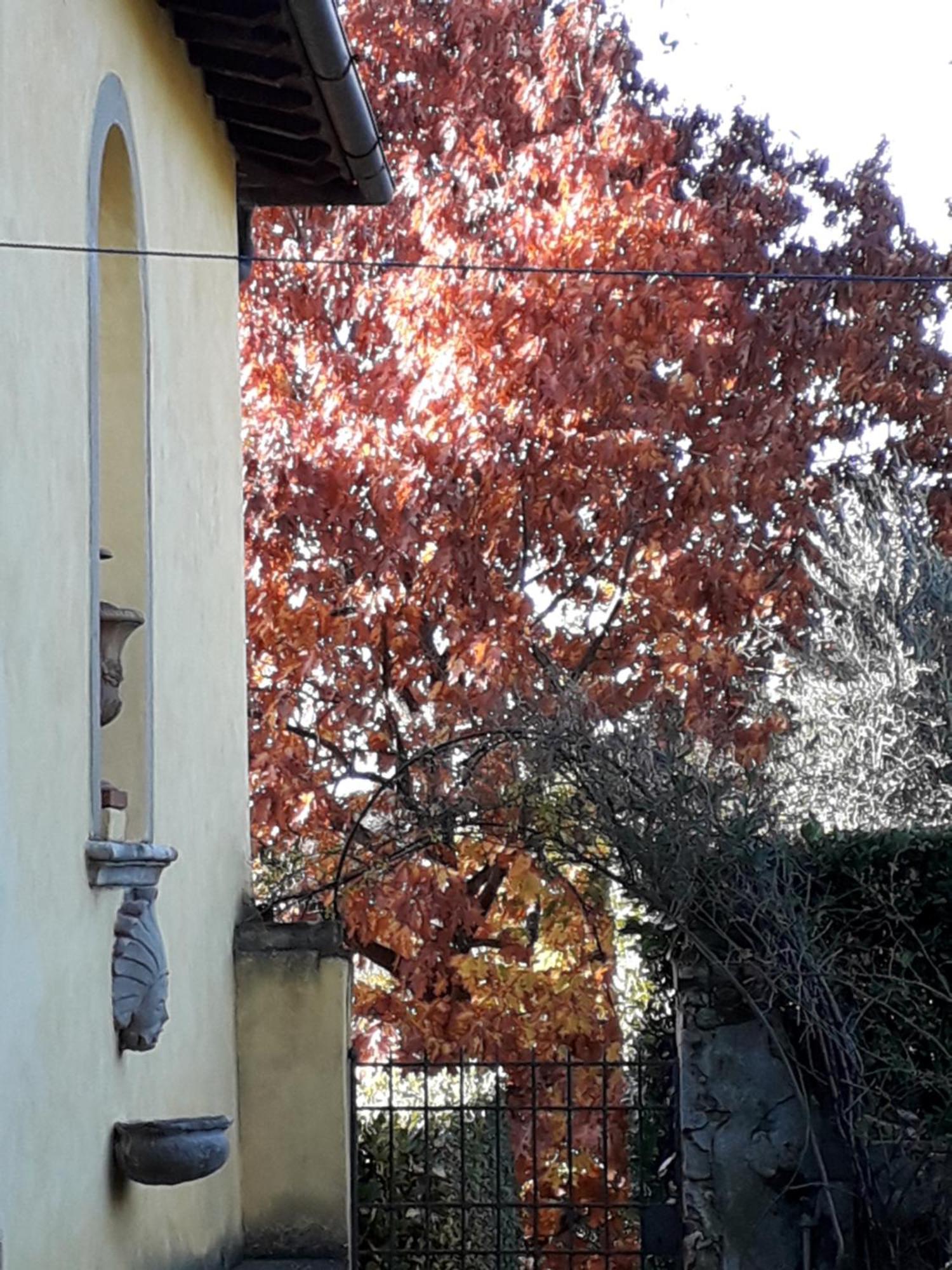 Villa Le Pergole- Firenze Exteriér fotografie
